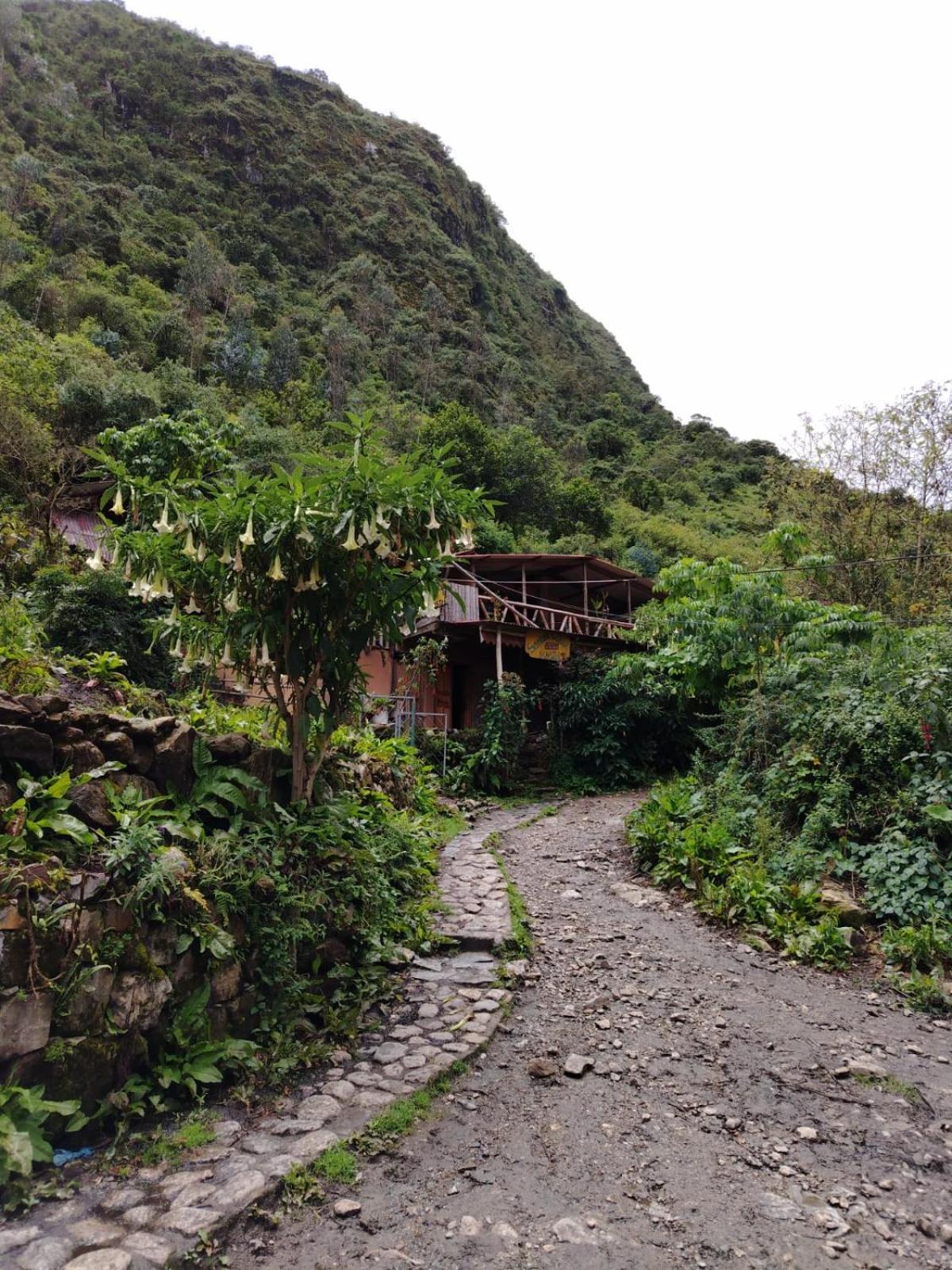 Hostel Samana Wasi Chaullay Cuzco Esterno foto